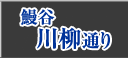 VJʂ